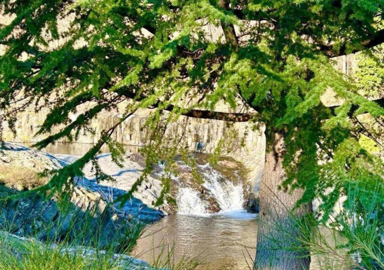 Rives De Bourges Daire Burzet Dış mekan fotoğraf